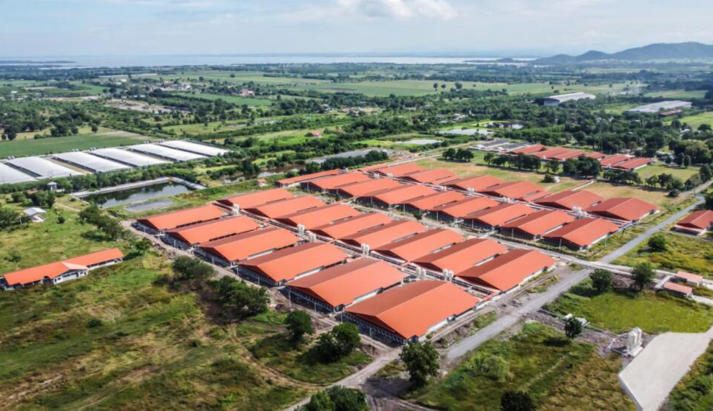 坚定国际化战略，正大机电企业海外市场逐浪前行结硕果