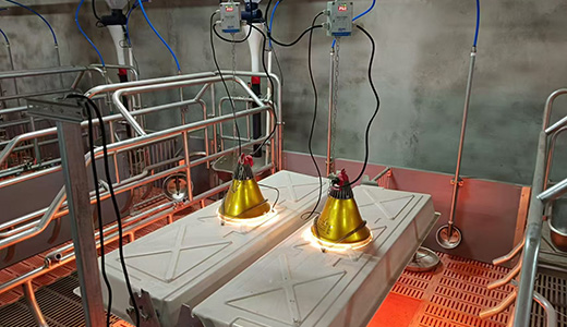 内蒙猪场IoT建设