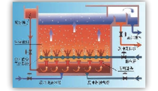 曝气生物滤池  